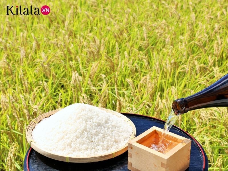 lý do khiến Niigata thành vương quốc rượu Sake nổi tiếng lý do khiến Niigata thành vương quốc rượu Sake nổi tiếng